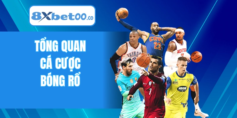Tổng quan cá cược bóng rổ